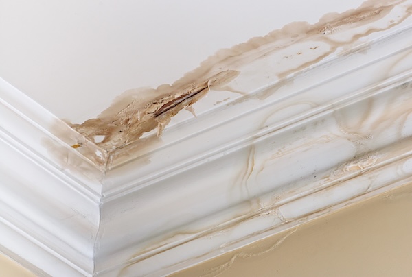 Water Damage Restoration